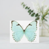 白い蝶 ポストカード (スタンド正面)