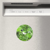 白い蝶 マグネット (インサイチュ (食洗機))