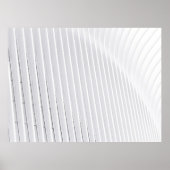 白い表面 ポスター (正面)