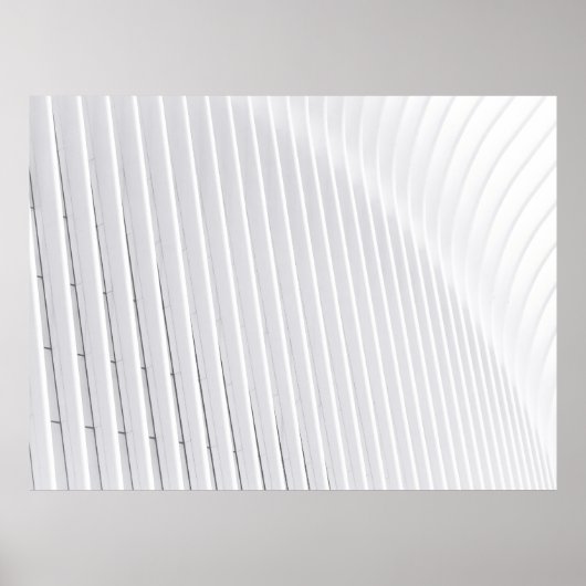 白い表面 ポスター (正面)