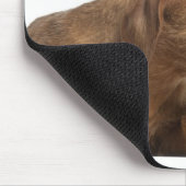 白い裏地の前でビズラがあくびをしている マウスパッド (コーナー)