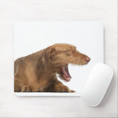 白い裏地の前でビズラがあくびをしている マウスパッド (マウス)