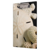 白い貝と砂ドル クリップボード (左)