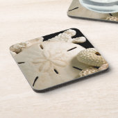 白い貝と砂ドル コースター (左側)