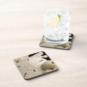 白い貝と砂ドル コースター (右側)