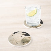 白い貝と砂ドル コースター (側面)