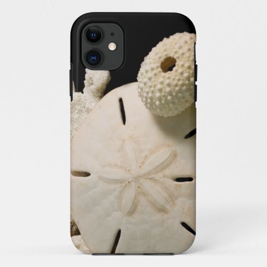 白い貝殻とサンドダラー Case-Mate iPhoneケース (裏面)