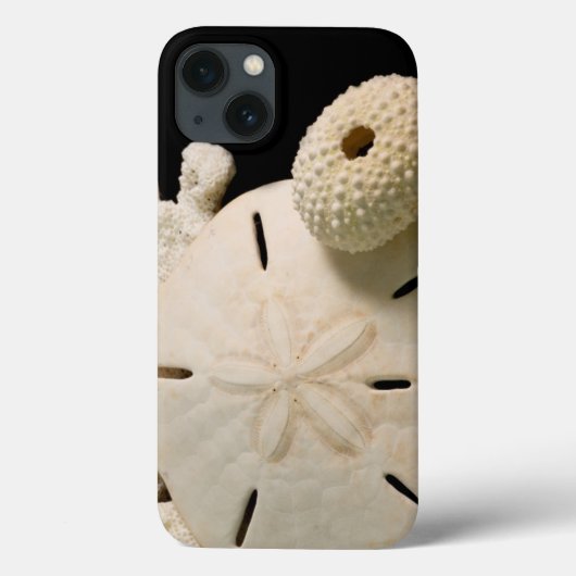 白い貝殻とサンドダラー Case-Mate iPhoneケース (裏面)