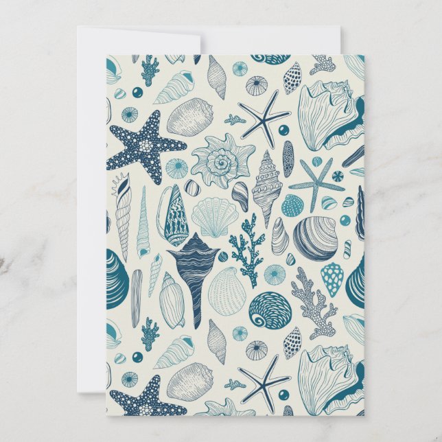 白い貝殻 (正面)