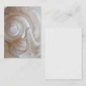 白い貝類ヒトデ熱帯ビーチの海の貝 名刺 (正面/裏面)