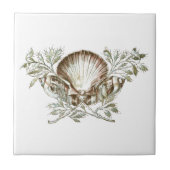 白い貝 タイル (正面)