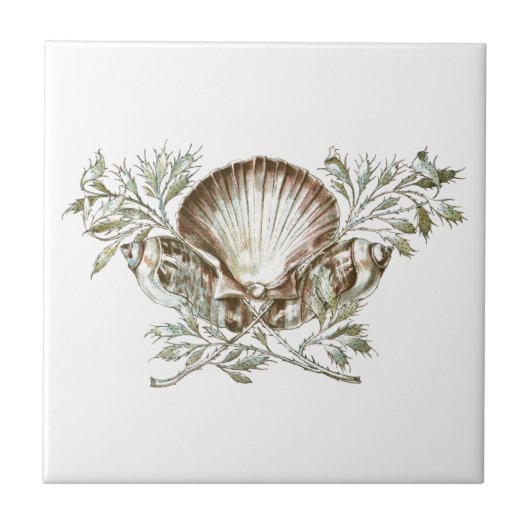 白い貝 タイル (正面)