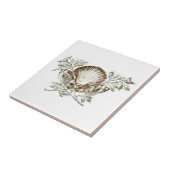 白い貝 タイル (側面)