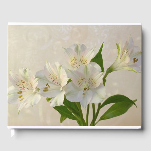 白い軟性花 ゲストブック (正面)