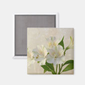 白い軟性花 マグネット (正面/裏面)