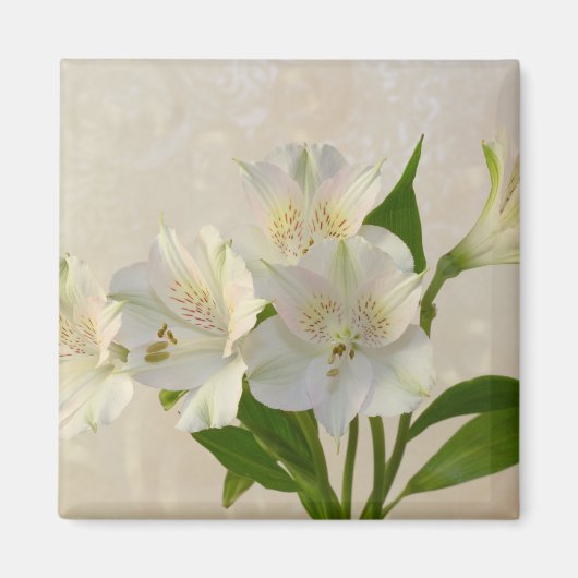 白い軟性花 マグネット (正面)