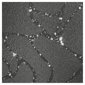 白い輝きを持つ豪華な黒い背景 ファブリック (見本)