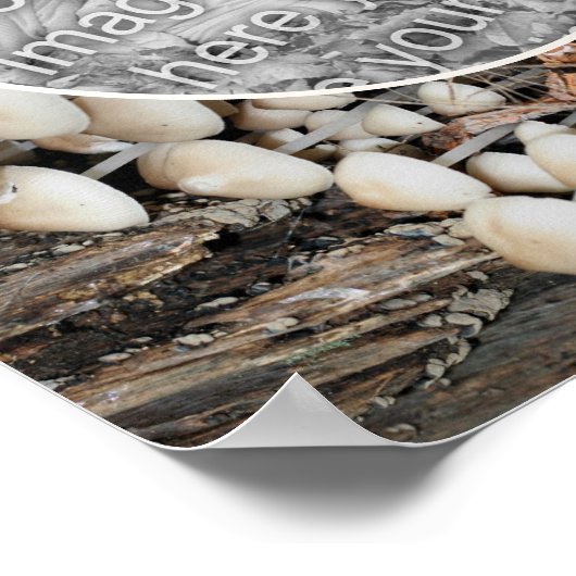 白い野生のキノコの自然独自の写真を作成 ポスター (角)