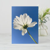 白い野生の花のカード サンキューカード (スタンド正面)