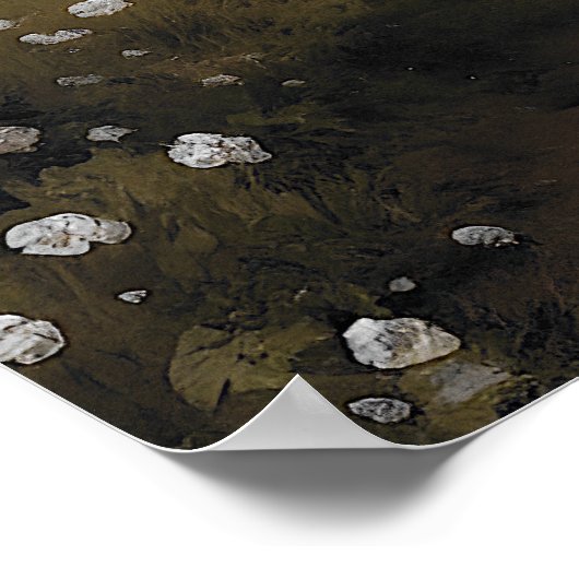 白い野絵画草牧草地ヴィンテージ ポスター (角)