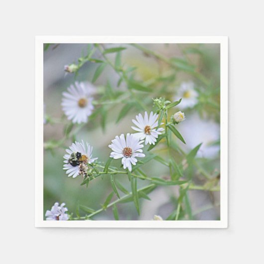 白い野花 スタンダードカクテルナプキン (正面)