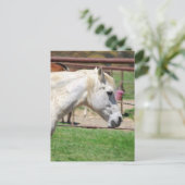 白い鉛筆のアートワーク ポストカード (スタンド正面)