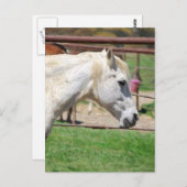 白い鉛筆のアートワーク ポストカード (正面/裏面)