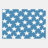 白い銀金ゴールド ラッピングペーパーシート (正面)