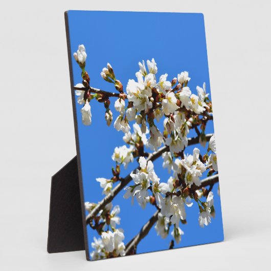 白い開花春の木の白いフローラ フォトプラーク (側面)