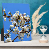 白い開花春の木の白いフローラ フォトプラーク (側面)