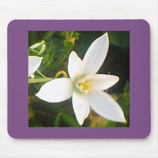 白い開花開花 マウスパッド (正面)