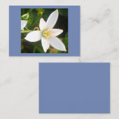白い開花開花 名刺 (正面/裏面)