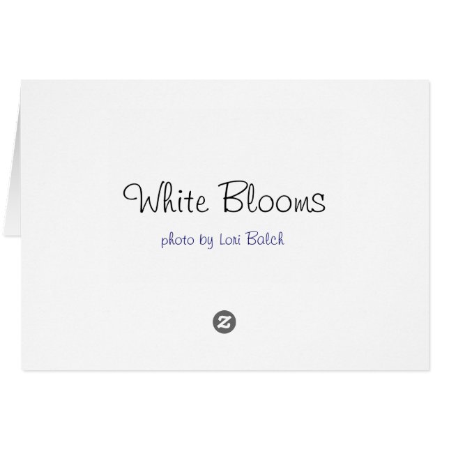 白い開花 (裏面横)