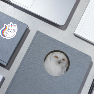 白い雪のフクロウの写真 ラウンドシール