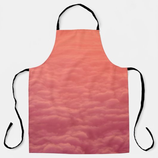 白い雲の海 エプロン (正面)