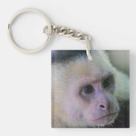 白い顔のカプチンモンキー用プラビダ キーホルダー