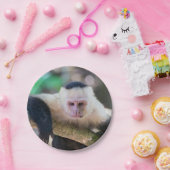 白い顔のカプチンモンキー用プラビダ ペーパープレート (パーティー)