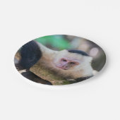 白い顔のカプチンモンキー用プラビダ ペーパープレート (アングル)