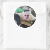 白い顔のカプチンモンキー用プラビダ ラウンドシール (バッグ)