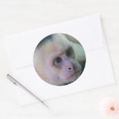 白い顔のカプチンモンキー用プラビダ ラウンドシール (封筒)