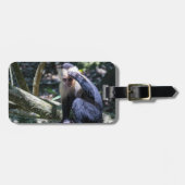 白い顔のカプチンモンキー用プラビダ ラゲッジタグ (正面横)