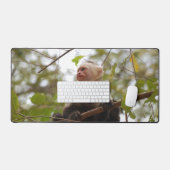 白い顔のカプチン、エキゾチックなサルの写真 デスクマット (キーボード&マウス)