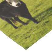 白い顔の黒い毛織の牛 テーブルクロス (アングル)