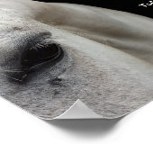 白い馬と引用文の小さなポスター ポスター (角)