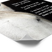 白い馬の写真の引用文。 ポスター (角)