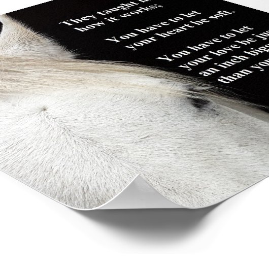 白い馬の写真の引用文。 ポスター (角)