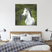 白い馬の緑の背景の美しいポートレート キャンバスプリント (インサイチュ (寝室))