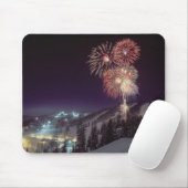 白い魚の大きい遊山行楽地の花火、 マウスパッド (マウス)