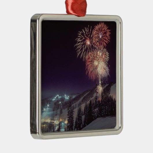 白い魚の大きい遊山行楽地の花火、 メタルオーナメント (右)