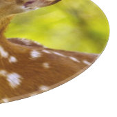 白い魚、モンタナ、米国のオジロ鹿シカの子鹿 カッティングボード (角)